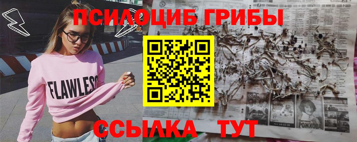 Псилоцибиновые грибы Cubensis  Ноябрьск  Псилоцибиновые грибы мухоморы 