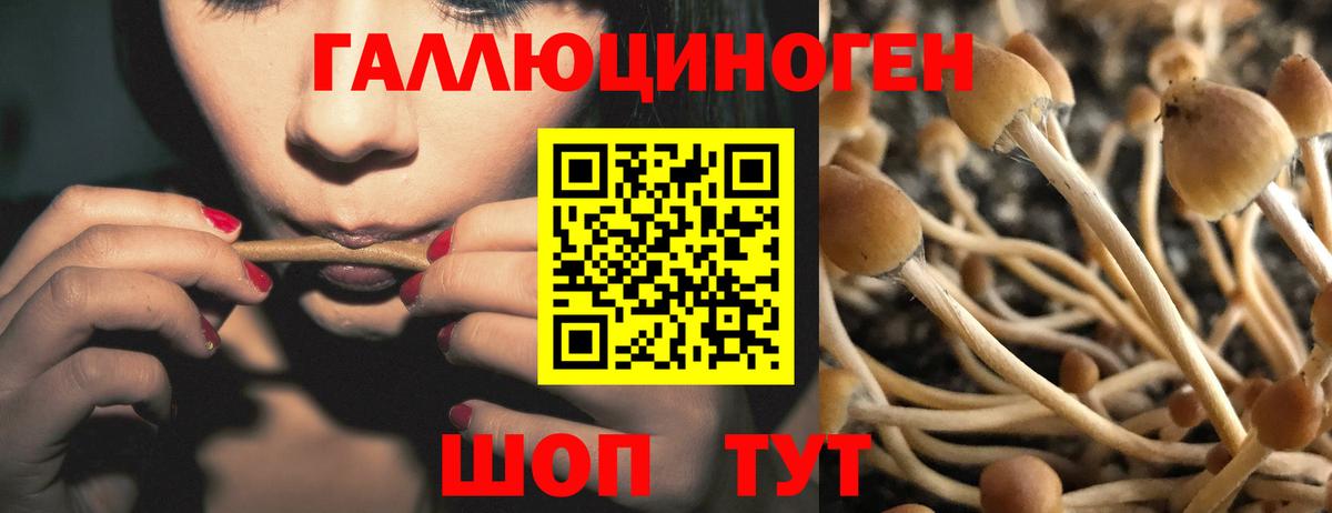 Псилоцибиновые грибы мицелий  Вход с VPN  Ноябрьск 