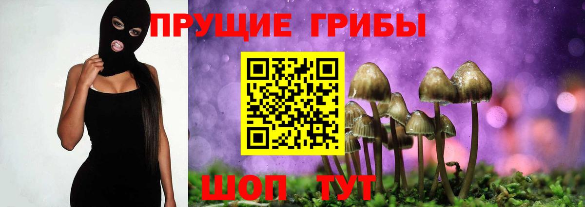 Псилоцибиновые грибы мухоморы Ноябрьск