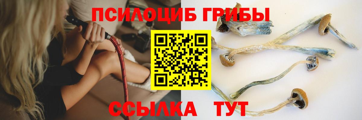 Псилоцибиновые грибы MAGIC MUSHROOMS Ноябрьск